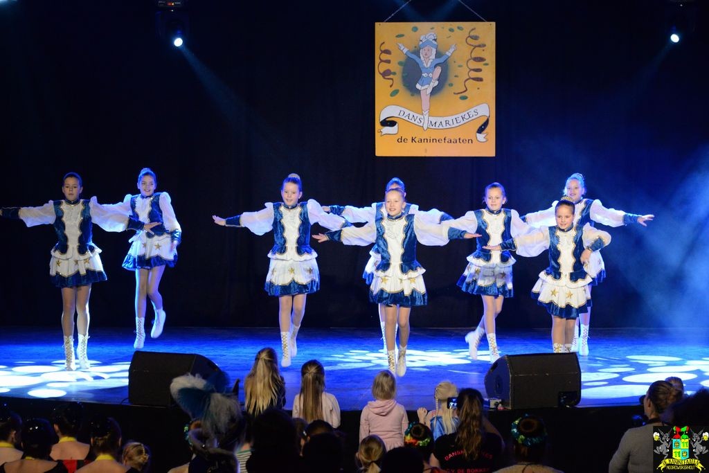 ../Images/Dansmarieke festival 2018 074.jpg
